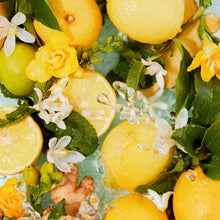 Load image into Gallery viewer, Sugar Coated Body Scrub, Mint & Yuzu