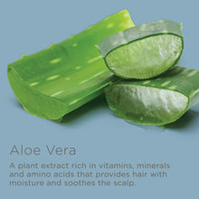 Load image into Gallery viewer, Don’t Wait Up Overnight Scalp Relief Mist with Aloe Vera | Soothes Dry, Itchy Scalp  4 fl oz
