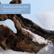 Load image into Gallery viewer, Beachwood Sea Salt Anti-Frizz Shampoo
