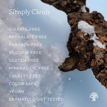 Load image into Gallery viewer, Beachwood Sea Salt Anti-Frizz Shampoo
